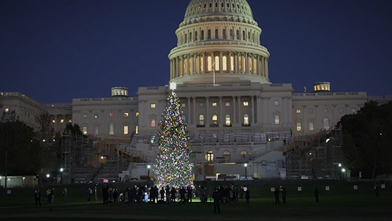 America's Forests with Chuck Leavell: Us Capitol Christmas Tree