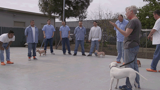 Underdogs