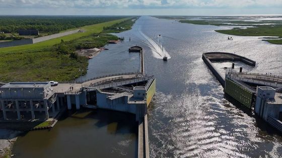 In The Americas with David Yetman