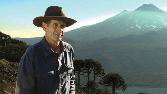 In The Americas with David Yetman