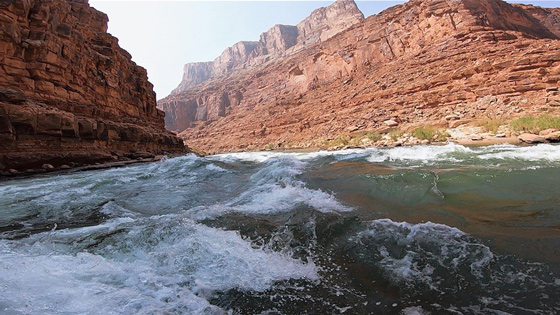 In The Americas with David Yetman