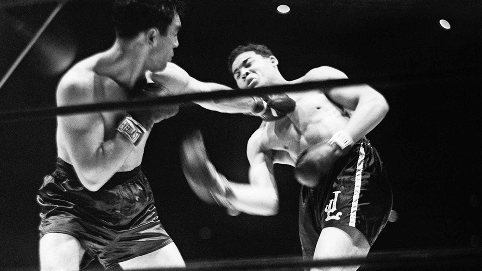 Fight: American Experience