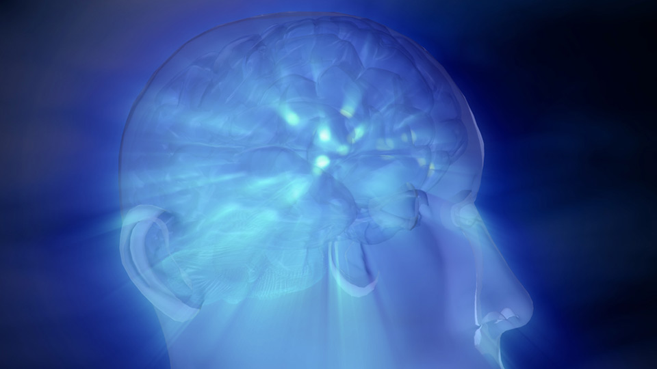 Build A Better Memory Through Science