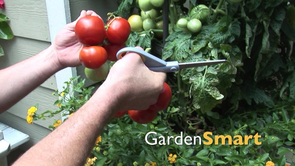Garden Smart