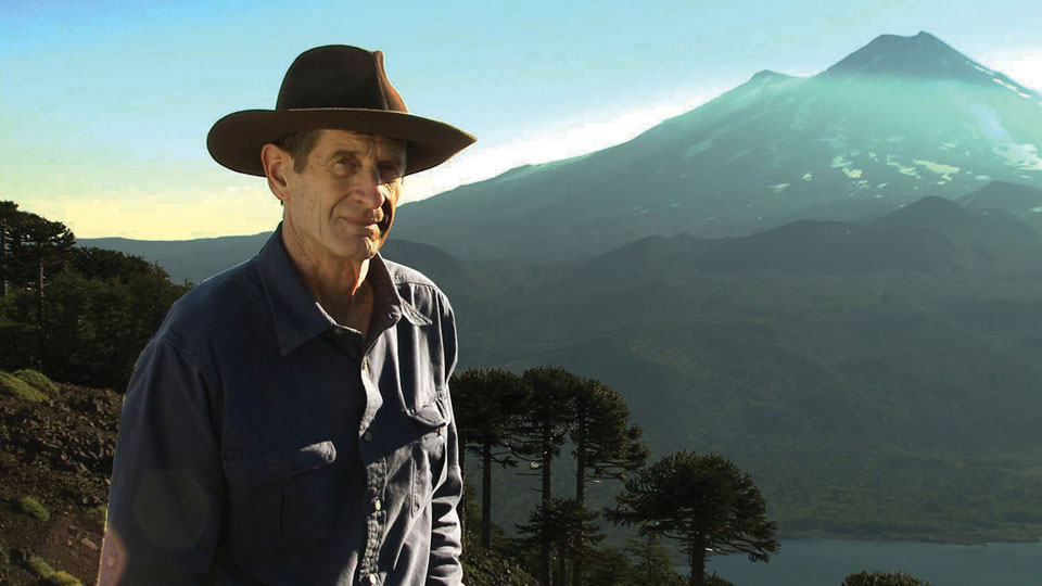 In the Americas with David Yetman