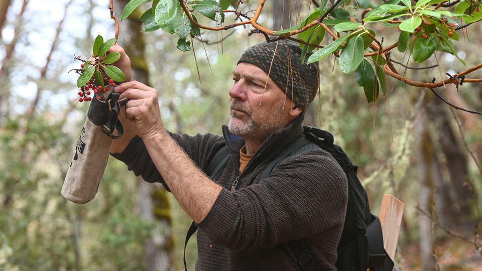 Les Stroud's Wild Harvest
