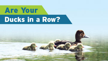 Are your ducks in a row?